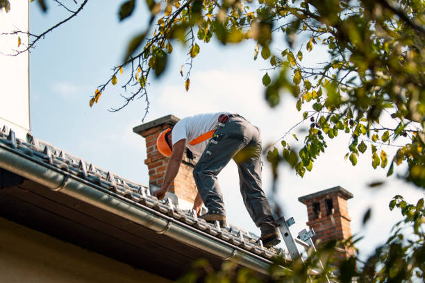 Roof Repair Estimates in Belleville, PA